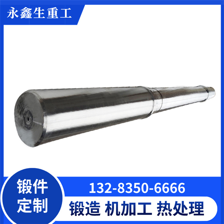 鍛造電機(jī)軸